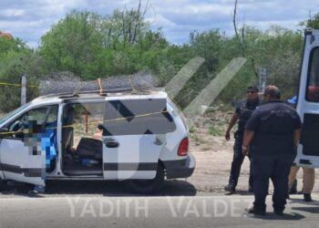 ENJAMBRE MORTAL; MUERE HOMBRE POR ATAQUE DE ABEJAS EN CARRETERA MIGUEL ALEMÁN