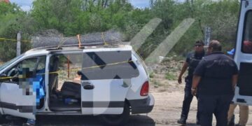 ENJAMBRE MORTAL; MUERE HOMBRE POR ATAQUE DE ABEJAS EN CARRETERA MIGUEL ALEMÁN
