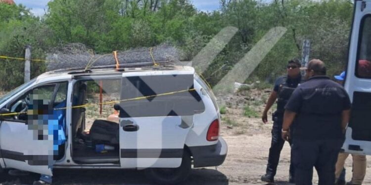 ENJAMBRE MORTAL; MUERE HOMBRE POR ATAQUE DE ABEJAS EN CARRETERA MIGUEL ALEMÁN