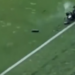 SE DESPLOMA CÁMARA DESDE LO ALTO DE ESTADIO DURANTE JUEGO AMISTOSO ENTRE HUNGRÍA Y KAZAJISTÁN 7 SE DESPLOMA CÁMARA DESDE LO ALTO DE ESTADIO DURANTE JUEGO AMISTOSO ENTRE HUNGRÍA Y KAZAJISTÁN