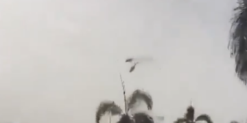 MUEREN OLIVER TREE Y EL YOUTUBER GASPI; CHOCAN HELICÓPTEROS SOBRE RÍO DE JANEIRO 1 MUEREN OLIVER TREE Y EL YOUTUBER GASPI; CHOCAN HELICÓPTEROS SOBRE RÍO DE JANEIRO