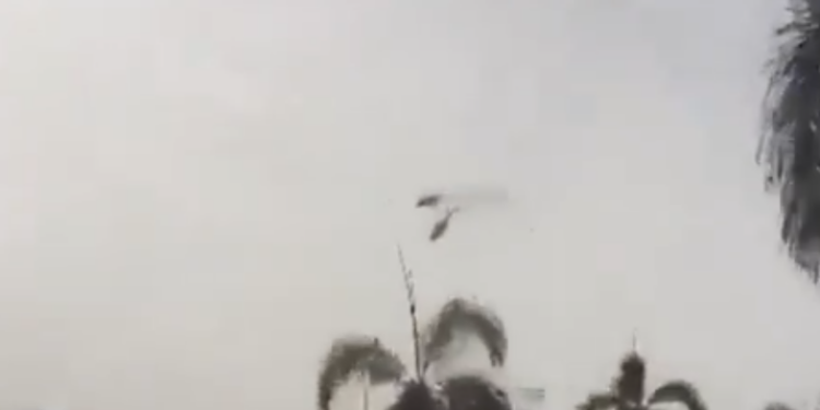 MUEREN OLIVER TREE Y EL YOUTUBER GASPI; CHOCAN HELICÓPTEROS SOBRE RÍO DE JANEIRO