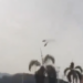 MUEREN OLIVER TREE Y EL YOUTUBER GASPI; CHOCAN HELICÓPTEROS SOBRE RÍO DE JANEIRO