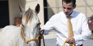 ANUNCIA MIKE FLORES SANTUARIO PARA CABALLOS MALTRATADOS; BUSCA CREAR EL MÁS GRANDE DE LATINOAMÉRICA