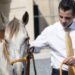 ANUNCIA MIKE FLORES SANTUARIO PARA CABALLOS MALTRATADOS; BUSCA CREAR EL MÁS GRANDE DE LATINOAMÉRICA