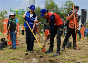 SIEMBRAN EMPRESAS Y GOBIERNO 'BOSQUES DE BOLSILLO'; IMPULSA DANIEL ACOSTA TRANSFORMACIÓN DE ESPACIOS ABANDONADOS EN ÁREAS VERDES QUE REDUCEN EL CALOR DE LA CIUDAD 4 SIEMBRAN EMPRESAS Y GOBIERNO ‘BOSQUES DE BOLSILLO’; IMPULSA DANIEL ACOSTA TRANSFORMACIÓN DE ESPACIOS ABANDONADOS EN ÁREAS VERDES QUE REDUCEN EL CALOR DE LA CIUDAD