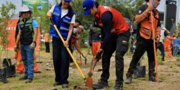 SIEMBRAN EMPRESAS Y GOBIERNO ‘BOSQUES DE BOLSILLO’; IMPULSA DANIEL ACOSTA TRANSFORMACIÓN DE ESPACIOS ABANDONADOS EN ÁREAS VERDES QUE REDUCEN EL CALOR DE LA CIUDAD
