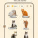 CATCHCAT: EL NUEVO JUEGO MÓVIL QUE CONVIERTE A LOS GATOS REALES EN UNA AVENTURA AL ESTILO POKÉMON GO 7 CATCHCAT: EL NUEVO JUEGO MÓVIL QUE CONVIERTE A LOS GATOS REALES EN UNA AVENTURA AL ESTILO POKÉMON GO