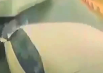 REVELA VIDEO IMPRUDENCIA DE CHOFER DE TRANSPORTE DE PERSONAL EN ACCIDENTE