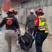 RESCATA PARQUES Y VIDA SILVESTRE A OSO ATROPELLADO EN LA NACIONAL 7 RESCATA PARQUES Y VIDA SILVESTRE A OSO ATROPELLADO EN LA NACIONAL
