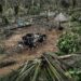 EMERGENCIA EN ASIA: MÁS DE 100 ANIMALES ESCAPAN DE UN ZOOLÓGICO TRAS DEVASTADORAS INUNDACIONES EN EL SUR DE CHINA 7 EMERGENCIA EN ASIA: MÁS DE 100 ANIMALES ESCAPAN DE UN ZOOLÓGICO TRAS DEVASTADORAS INUNDACIONES EN EL SUR DE CHINA