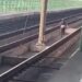 CORRE HOMBRE POR VÍAS DE LA LÍNEA 2 DEL METRO; SE DESCONOCE CÓMO INGRESÓ A ZONA RESTRINGIDA