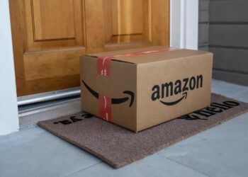 EMERGENCIA MÉDICA EN CALIFORNIA: NIÑA ES MORDIDA POR UNA SERPIENTE OCULTA BAJO UN PAQUETE DE AMAZON