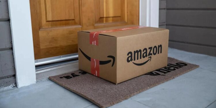 EMERGENCIA MÉDICA EN CALIFORNIA: NIÑA ES MORDIDA POR UNA SERPIENTE OCULTA BAJO UN PAQUETE DE AMAZON