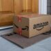 EMERGENCIA MÉDICA EN CALIFORNIA: NIÑA ES MORDIDA POR UNA SERPIENTE OCULTA BAJO UN PAQUETE DE AMAZON 7 EMERGENCIA MÉDICA EN CALIFORNIA: NIÑA ES MORDIDA POR UNA SERPIENTE OCULTA BAJO UN PAQUETE DE AMAZON