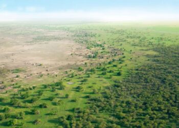 MEGAPROYECTO ECOLÓGICO EN ASIA: CHINA CONSTRUYE UNA “GRAN MURALLA VERDE” PARA FRENAR EL AVANCE DEL DESIERTO Y COMBATIR LAS TORMENTAS DE POLVO