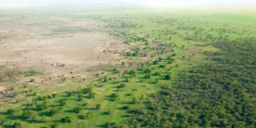 MEGAPROYECTO ECOLÓGICO EN ASIA: CHINA CONSTRUYE UNA “GRAN MURALLA VERDE” PARA FRENAR EL AVANCE DEL DESIERTO Y COMBATIR LAS TORMENTAS DE POLVO 3 MEGAPROYECTO ECOLÓGICO EN ASIA: CHINA CONSTRUYE UNA “GRAN MURALLA VERDE” PARA FRENAR EL AVANCE DEL DESIERTO Y COMBATIR LAS TORMENTAS DE POLVO