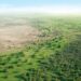 MEGAPROYECTO ECOLÓGICO EN ASIA: CHINA CONSTRUYE UNA “GRAN MURALLA VERDE” PARA FRENAR EL AVANCE DEL DESIERTO Y COMBATIR LAS TORMENTAS DE POLVO 7 MEGAPROYECTO ECOLÓGICO EN ASIA: CHINA CONSTRUYE UNA “GRAN MURALLA VERDE” PARA FRENAR EL AVANCE DEL DESIERTO Y COMBATIR LAS TORMENTAS DE POLVO