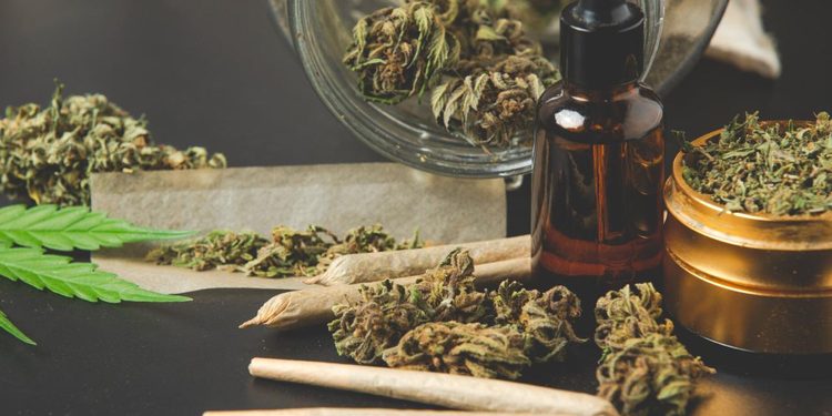SALUD PÚBLICA EN ESTADOS UNIDOS: ALERTA POR AUMENTO EN CASOS DE TRASTORNO POR CONSUMO DE CANNABIS TRAS LA LEGALIZACIÓN REGIONAL 1 SALUD PÚBLICA EN ESTADOS UNIDOS: ALERTA POR AUMENTO EN CASOS DE TRASTORNO POR CONSUMO DE CANNABIS TRAS LA LEGALIZACIÓN REGIONAL