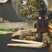 SALUD PÚBLICA EN ESTADOS UNIDOS: ALERTA POR AUMENTO EN CASOS DE TRASTORNO POR CONSUMO DE CANNABIS TRAS LA LEGALIZACIÓN REGIONAL 7 SALUD PÚBLICA EN ESTADOS UNIDOS: ALERTA POR AUMENTO EN CASOS DE TRASTORNO POR CONSUMO DE CANNABIS TRAS LA LEGALIZACIÓN REGIONAL