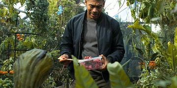¿QUIÉN ES EARL? LA PLANTA CARNÍVORA ALIENÍGENA QUE HAL JORDAN MANTIENE OCULTA EN SU RESIDENCIA 2 ¿QUIÉN ES EARL? LA PLANTA CARNÍVORA ALIENÍGENA QUE HAL JORDAN MANTIENE OCULTA EN SU RESIDENCIA