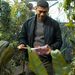 ¿QUIÉN ES EARL? LA PLANTA CARNÍVORA ALIENÍGENA QUE HAL JORDAN MANTIENE OCULTA EN SU RESIDENCIA