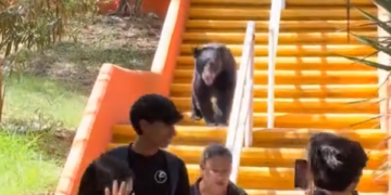 CAPTAN A OSO ‘COMUNICÓLOGO’ EN FCC DE UANL 2 CAPTAN A OSO ‘COMUNICÓLOGO’ EN FCC DE UANL