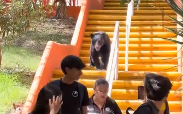 CAPTAN A OSO ‘COMUNICÓLOGO’ EN FCC DE UANL