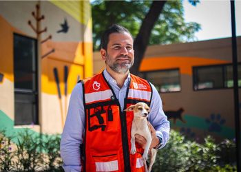 ENCUENTRAN HOGAR 270 ANIMALES RESCATADOS POR EL ESTADO; CUMPLE CEAA SU PRIMER AÑO CON MÁS DE 2 MIL 800 SERVICIOS VETERINARIOS GRATUITOS
