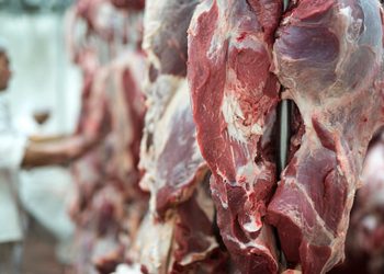 SUBE 25% CARNE DE RES EN NL; APUNTAN A RESTRICCIONES POR GUSANO BARRENADOR.
