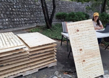 REPARTEN EN OLINALÁ TABLAS CON CLAVOS PARA IMPEDIR ENTRADA DE OSOS A RESIDENCIAS; CAUSA POLÉMICA MEDIDA ANTE MALTRATO ANIMAL.