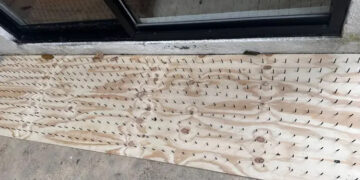 PIDE ESTADO RETIRAR TABLAS CON CLAVOS USADAS PARA AHUYENTAR OSOS EN OLINALÁ; ADVIERTE PVSNL RIESGOS PARA FAUNA Y PERSONAS