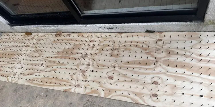 PIDE ESTADO RETIRAR TABLAS CON CLAVOS USADAS PARA AHUYENTAR OSOS EN OLINALÁ; ADVIERTE PVSNL RIESGOS PARA FAUNA Y PERSONAS