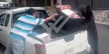 'ROBA' OSO PEDIDO A DOMICILIO; DEJA SIN DESPENSA A REPARTIDOR EN SAN PEDRO 1 ‘ROBA’ OSO PEDIDO A DOMICILIO; DEJA SIN DESPENSA A REPARTIDOR EN SAN PEDRO
