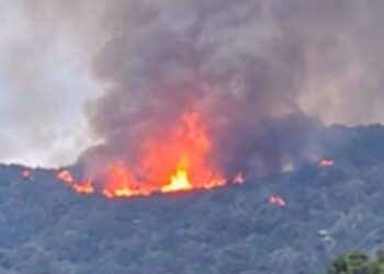 AVIONETA USADA POR GOBERNADOR DE NAYARIT SE DESPLOMA; FISCALÍA INDAGA POSIBLE ATENTADO