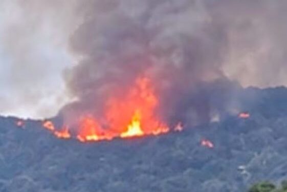 AVIONETA USADA POR GOBERNADOR DE NAYARIT SE DESPLOMA; FISCALÍA INDAGA POSIBLE ATENTADO