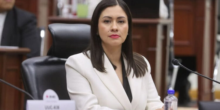 DESIGNAN A BLANCA CRUZ PRESIDENTA INTERINA DEL INE; SUSTITUIRÁ A GUADALUPE TADDEI 1 DESIGNAN A BLANCA CRUZ PRESIDENTA INTERINA DEL INE; SUSTITUIRÁ A GUADALUPE TADDEI